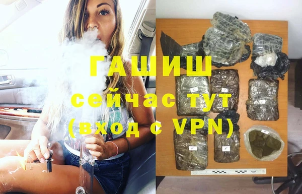 сатива Бугульма