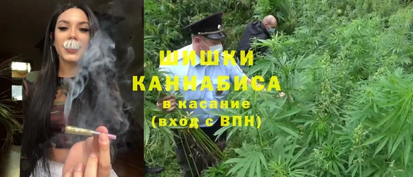 амф Бронницы