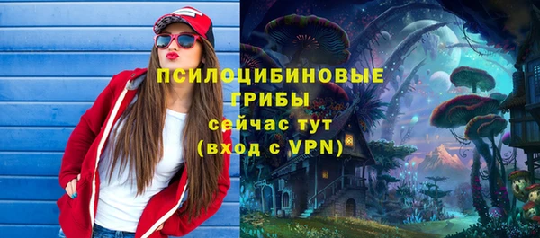 сатива Бугульма