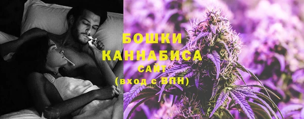 сатива Бугульма